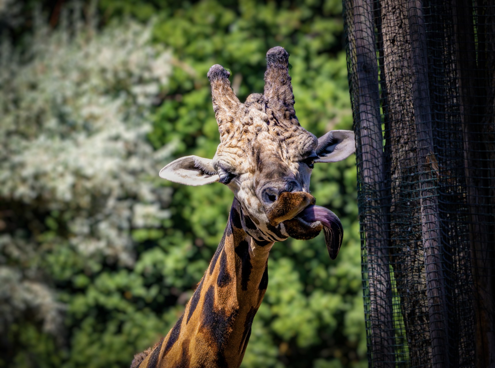 Zoo Plzeň – jeden den je skoro málo