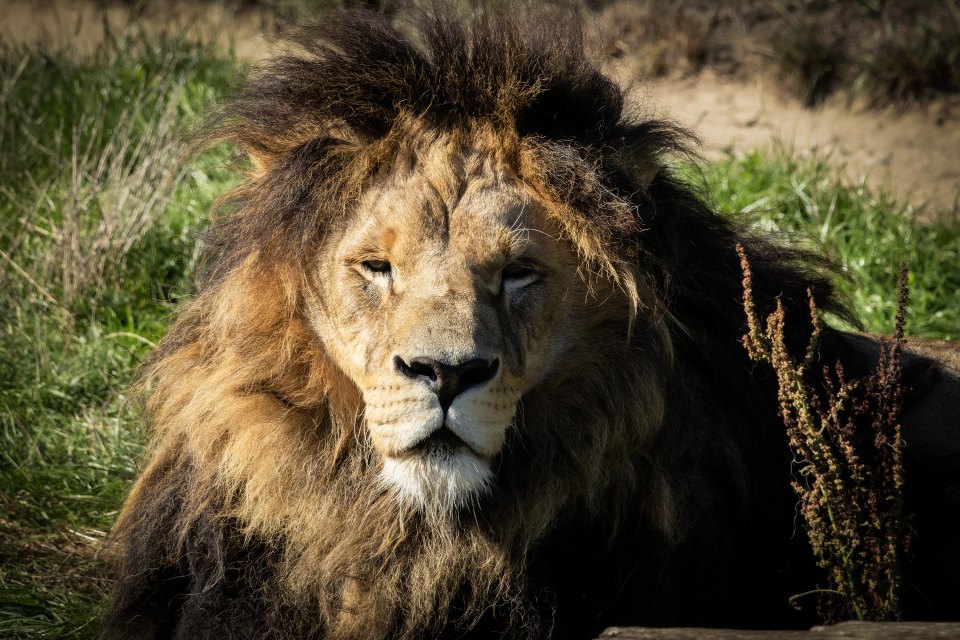 Zoo Na Hrádečku - mění se před očima