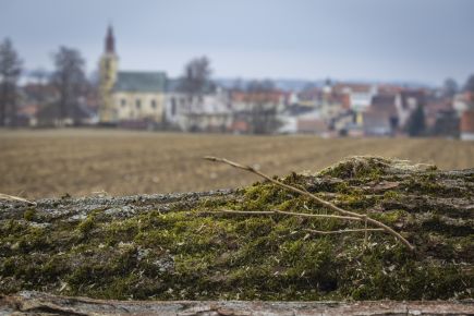Dřevo a město - f/5,6 1/50s ISO100, ohnisko 55mm