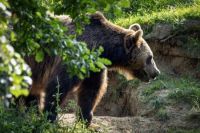 Zoo Tábor v létě 2024