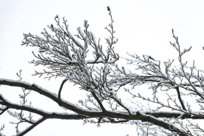 Světce - 1/250s, f/8, ISO320, 135mm