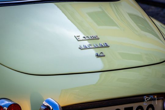 spring_classic-093.jpg