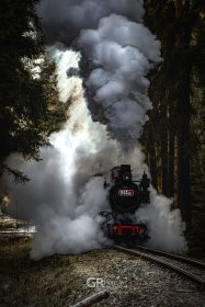 6958383975bf6.jpg