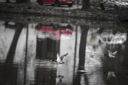 63fbc9230e3f9.jpg