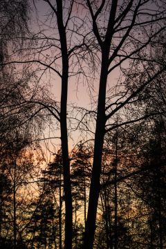 6376aea47b2a6.jpg