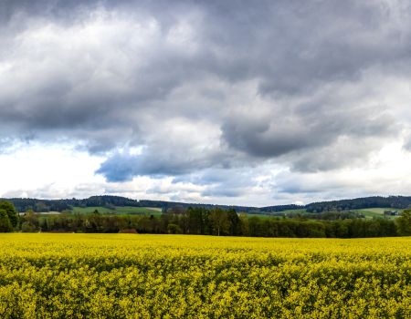 646212d2caf41.jpg