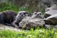 Velikonoční výlet do Zoo Na Hrádečku
