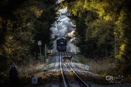 695839d9ef1f1.jpg
