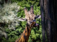 Zoo Plzeň – jeden den je skoro málo