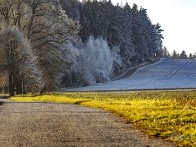 Děbolín k rozhledně - 1/200s, f/5.6, ISO160, 135mm