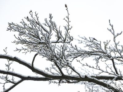 Světce - 1/250s, f/8, ISO320, 135mm
