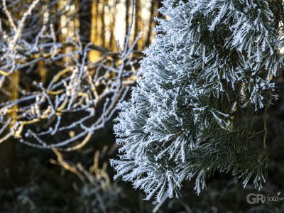 Děbolín k rozhledně - 1/200s, f/8, ISO400, 78mm
