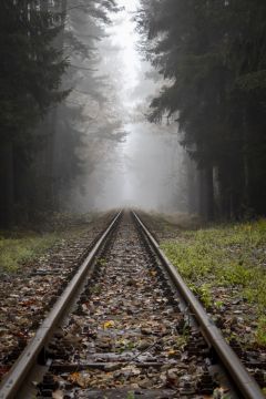 63697a9796732.jpg