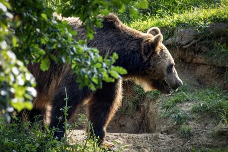 Zoo Tábor v létě 2024