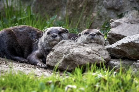 Velikonoční výlet do Zoo Na Hrádečku