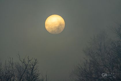 6739d0da8f5ab.jpg