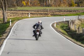 6376af0216cff.jpg