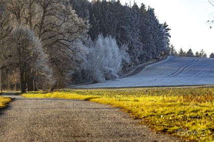 Děbolín k rozhledně - 1/200s, f/5.6, ISO160, 135mm