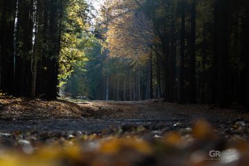 6739d06e33aa9.jpg