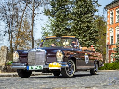 spring_classic-240.jpg