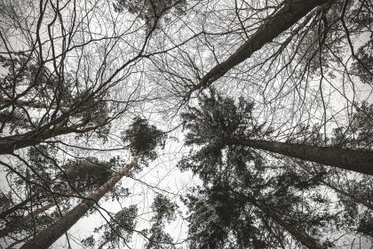 Světce - 1/160s, f/3.5, ISO100, 18mm