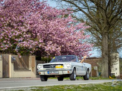 spring_classic-281.jpg