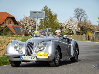 spring_classic-270.jpg
