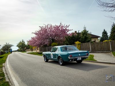 spring_classic-287.jpg