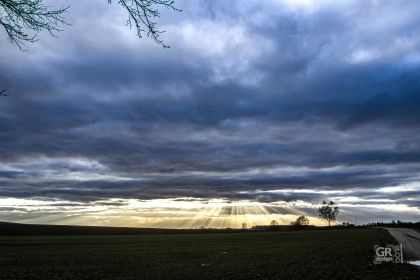 6593184b7fe53.jpg