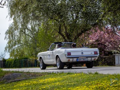 spring_classic-282.jpg