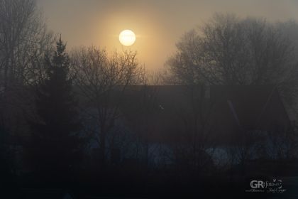 6739d0da2db3d.jpg