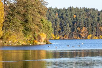 6739d0704605e.jpg