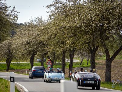 spring_classic-269.jpg
