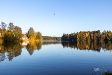 6739d070b3e4d.jpg