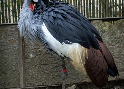 682f5e493d55c.jpg