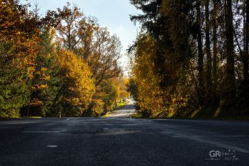 6739d06f5755c.jpg