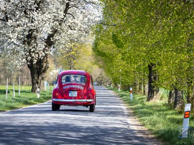 spring_classic-163.jpg