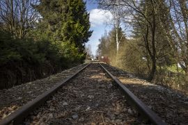 64317ee6d19a0.jpg