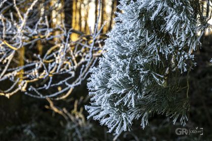 Děbolín k rozhledně - 1/200s, f/8, ISO400, 78mm