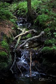 684d624f931fe.jpg