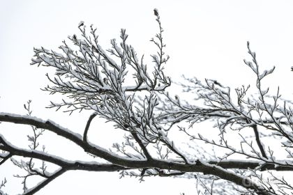 Světce - 1/250s, f/8, ISO320, 135mm