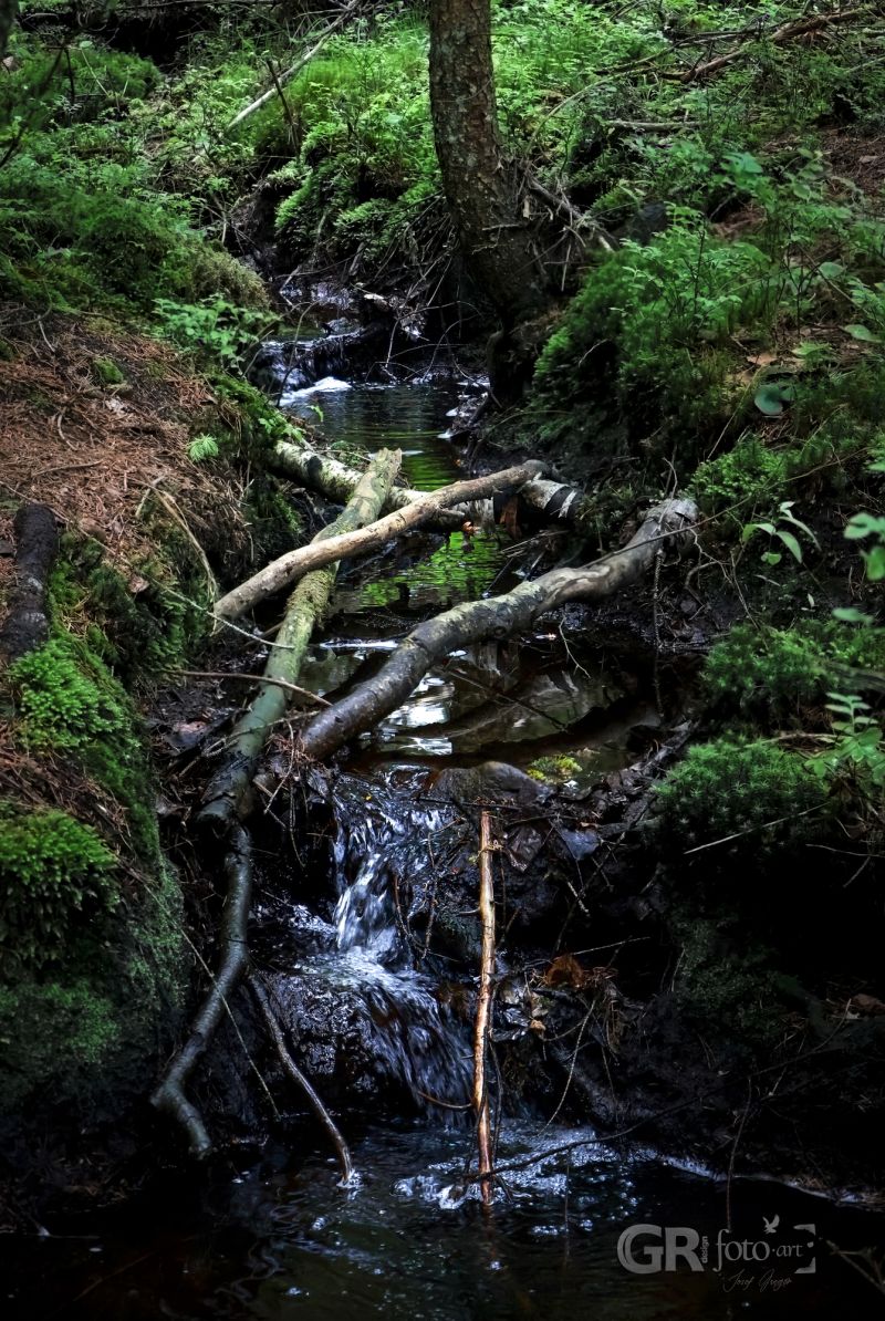 684d624f931fe.jpg