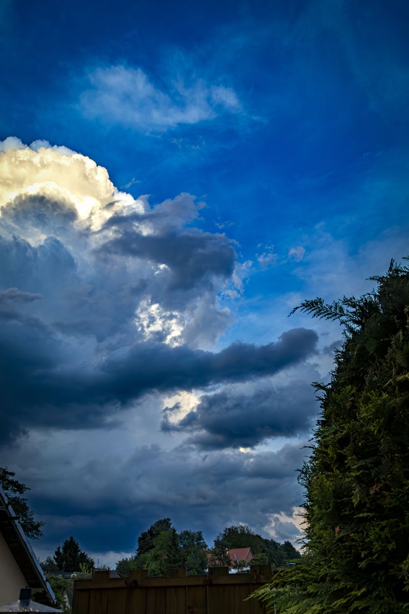 684d44435299b.jpg