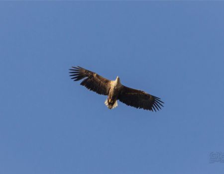 64539baea4d6d.jpg