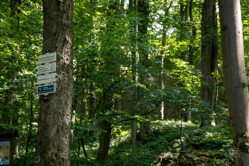 Zřícenina hradu Choustník - 38