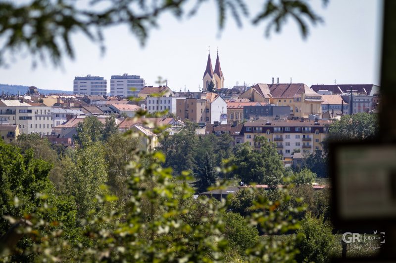 Zoo Plzeň – jeden den je skoro málo - 117
