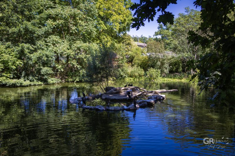 Zoo Plzeň – jeden den je skoro málo - 3