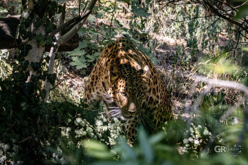 Zoo Plzeň – jeden den je skoro málo - 62