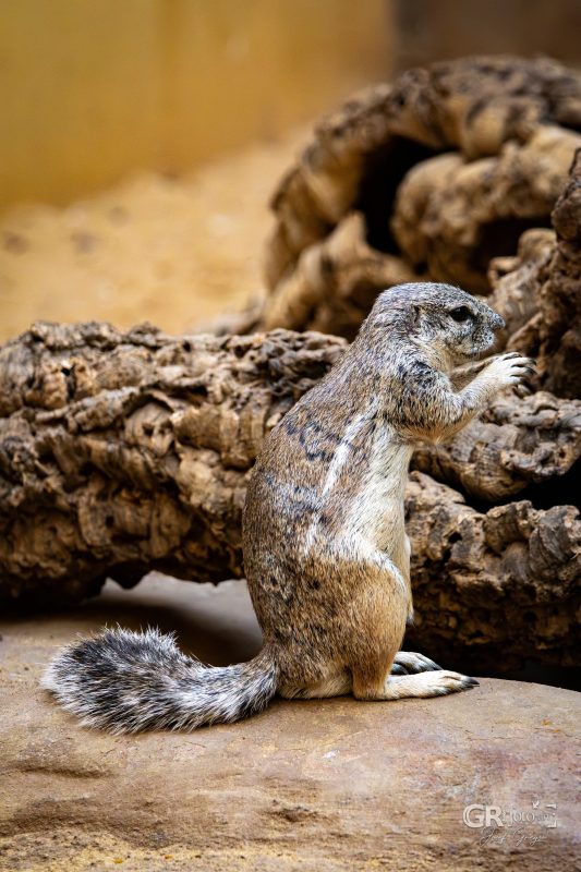 Zoo Plzeň – jeden den je skoro málo - 47