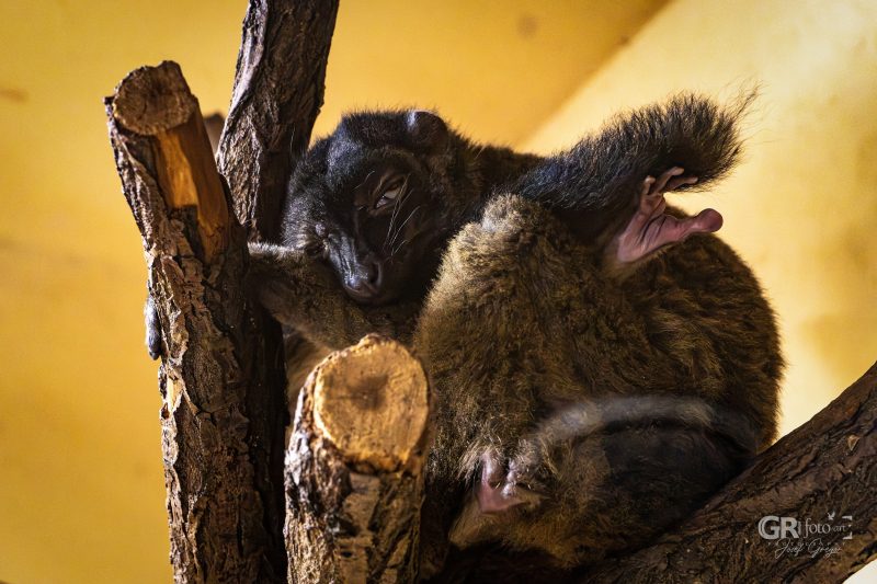 Zoo Plzeň – jeden den je skoro málo - 16